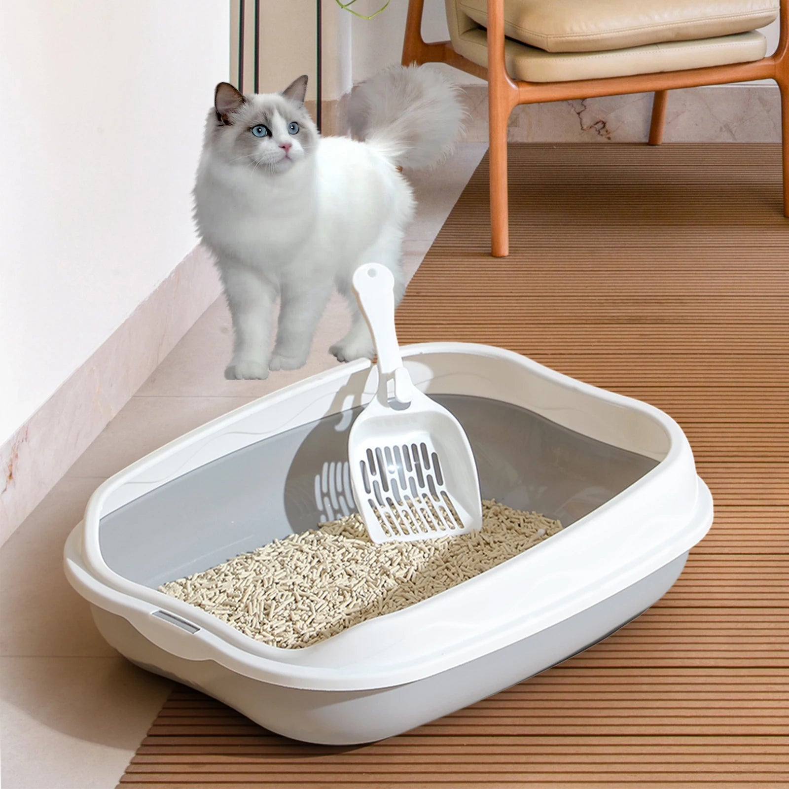 Plant-Based Compostable Cat Litter | Low Dust & Clumping | EarthPawColletive