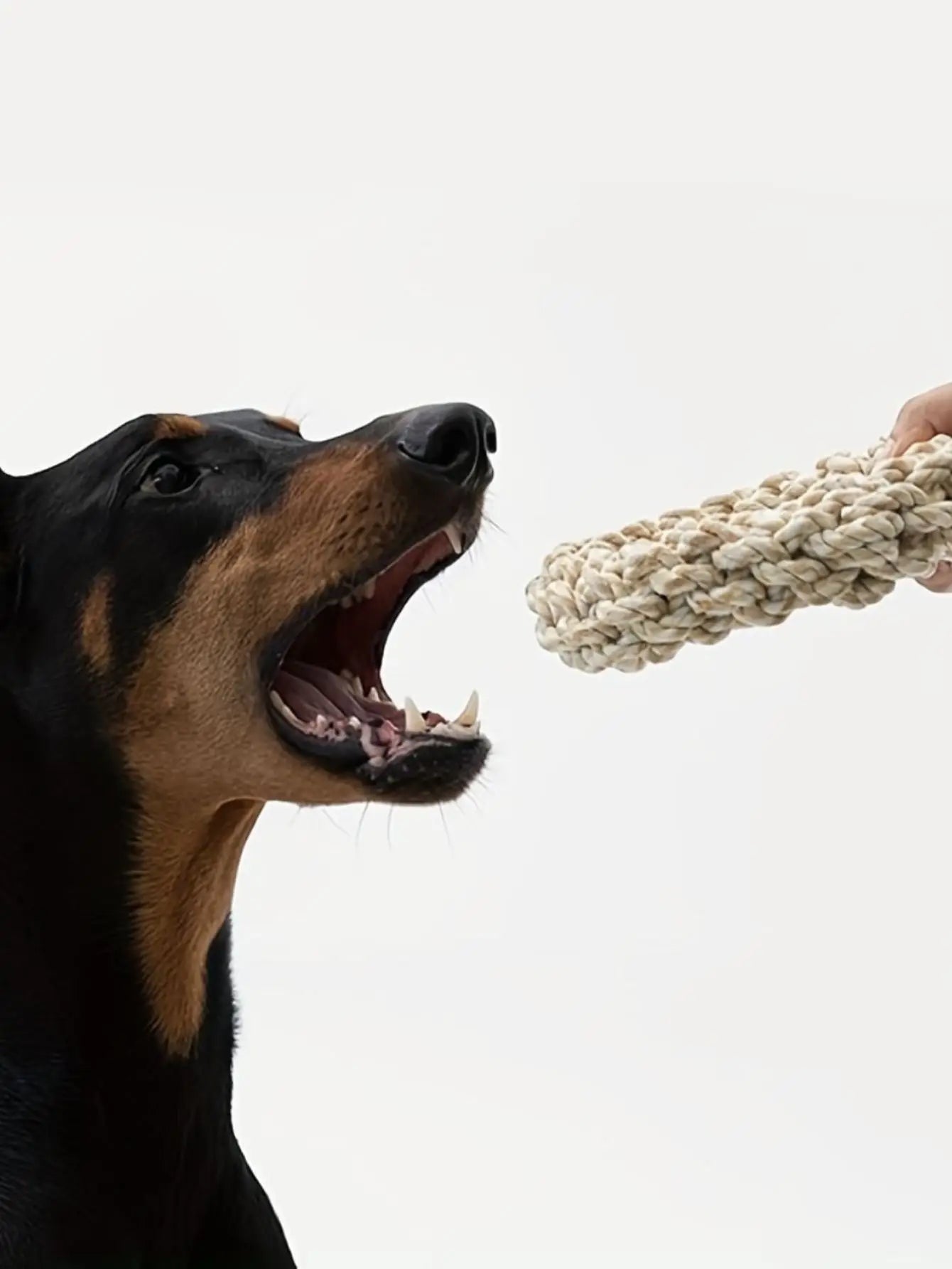 Eco-Friendly Recycled Rope Dog Toy | Heavy Chewer Safe | EarthPawColletive