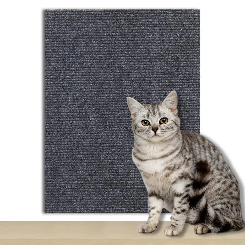 Anti-Cat Scratch Wall & Sofa Protector | DIY Trimmable Carpet | EarthPawColletive