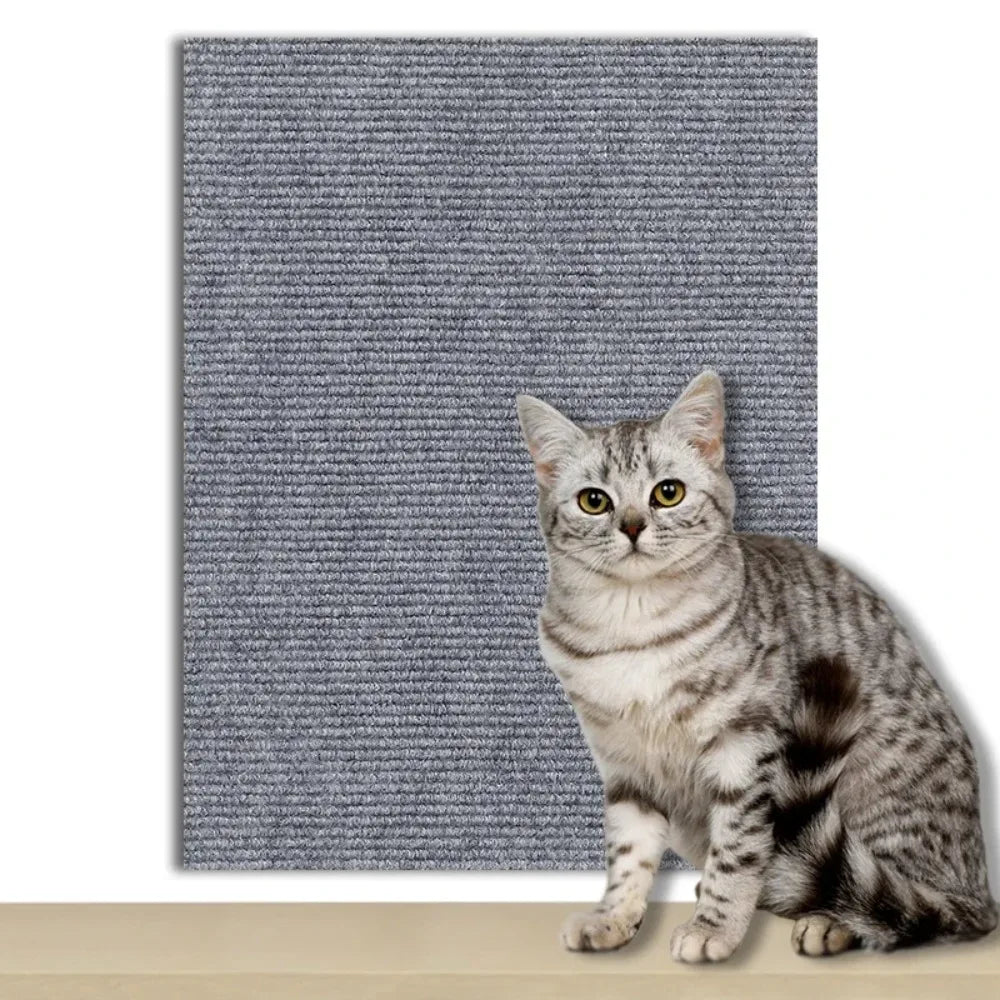 Anti-Cat Scratch Wall & Sofa Protector | DIY Trimmable Carpet | EarthPawColletive