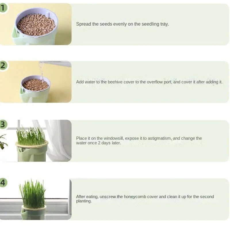 Cat Grass Growing Dish | Hydroponic Greenhouse Starter Pot | EarthPawColletive