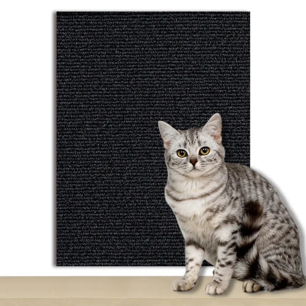 Anti-Cat Scratch Wall & Sofa Protector | DIY Trimmable Carpet | EarthPawColletive