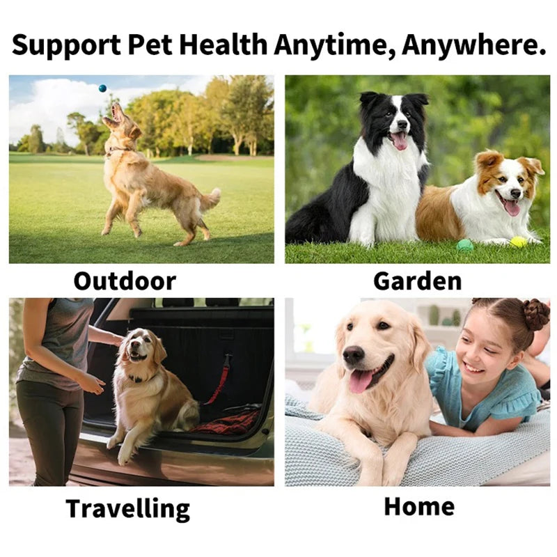 Pet Finger Toothbrush & Wet Wipes | Dog & Cat Oral Care | EarthPawColletive