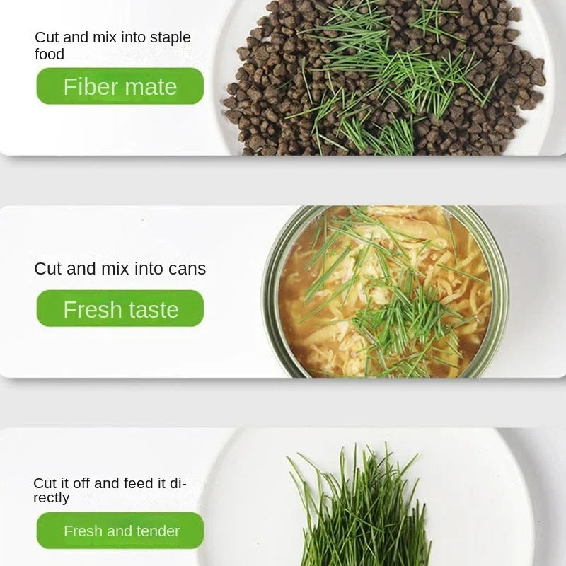 Cat Grass Growing Dish | Hydroponic Greenhouse Starter Pot | EarthPawColletive