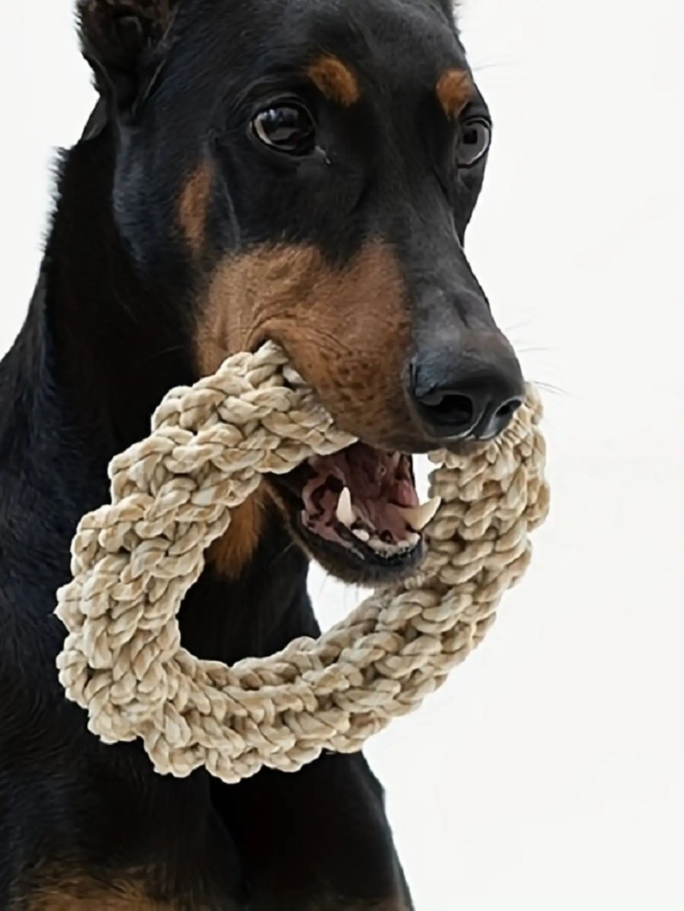 Eco-Friendly Recycled Rope Dog Toy | Heavy Chewer Safe | EarthPawColletive