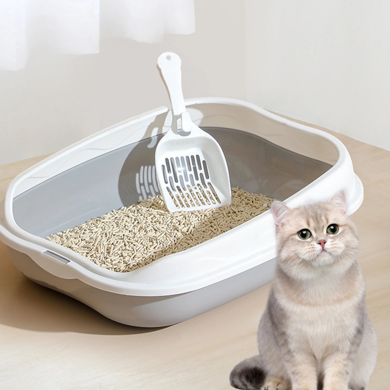 Plant-Based Compostable Cat Litter | Low Dust & Clumping | EarthPawColletive