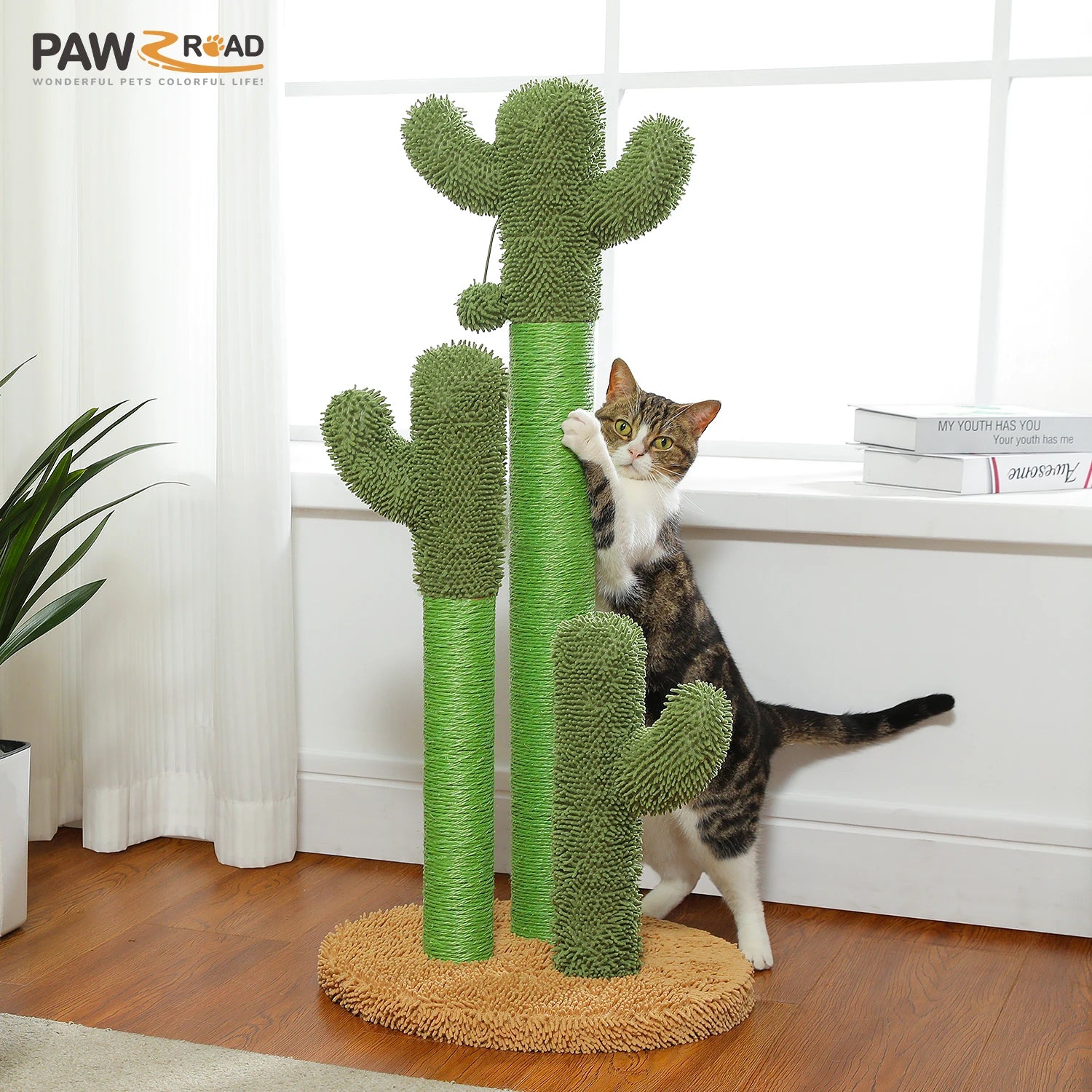 Cactus Cat Tree | Condo, Hammock & Ball | EarthPawColletive